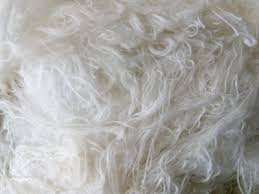 Trapo algodon madeja